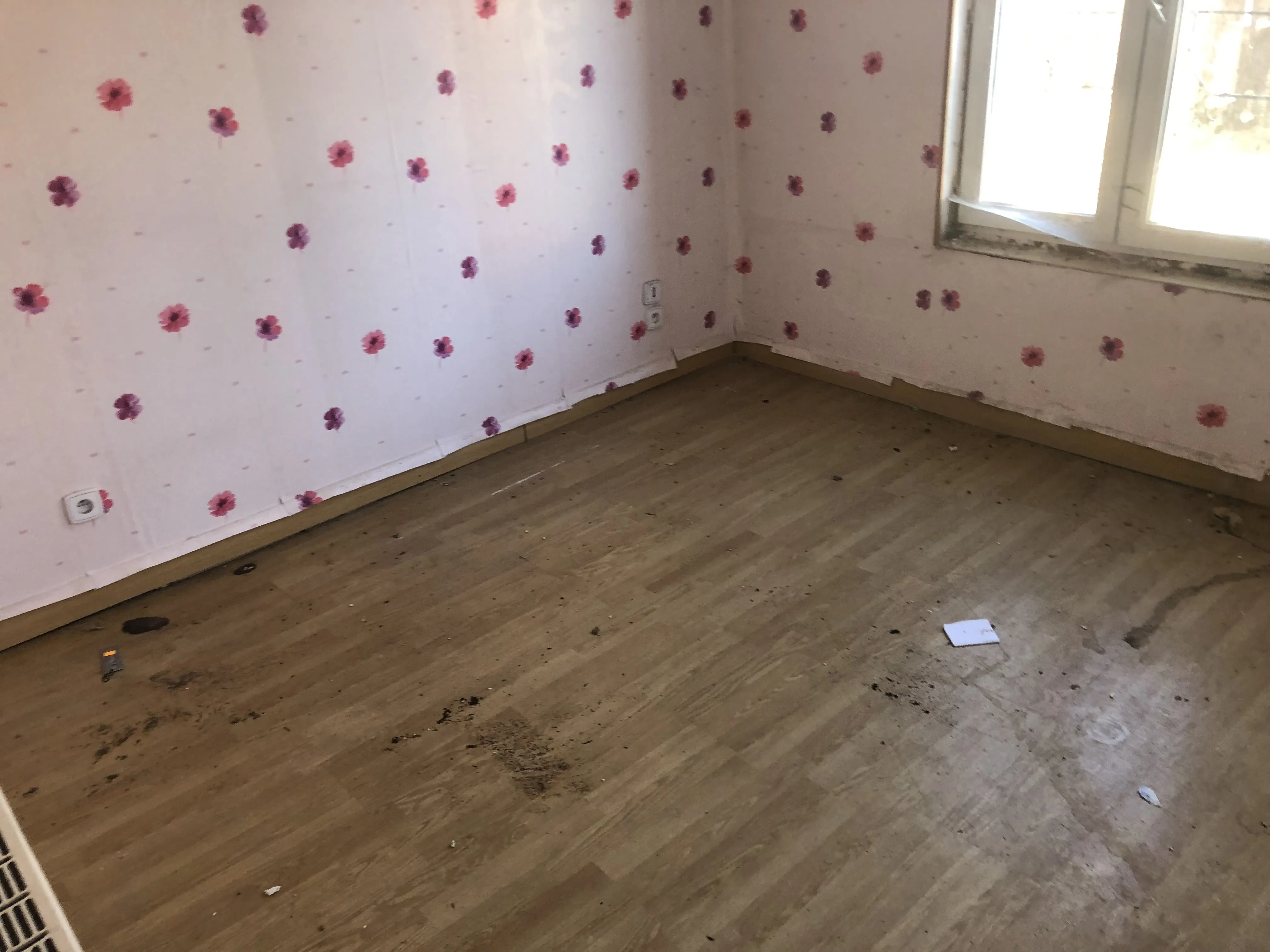 Chantier Débarras