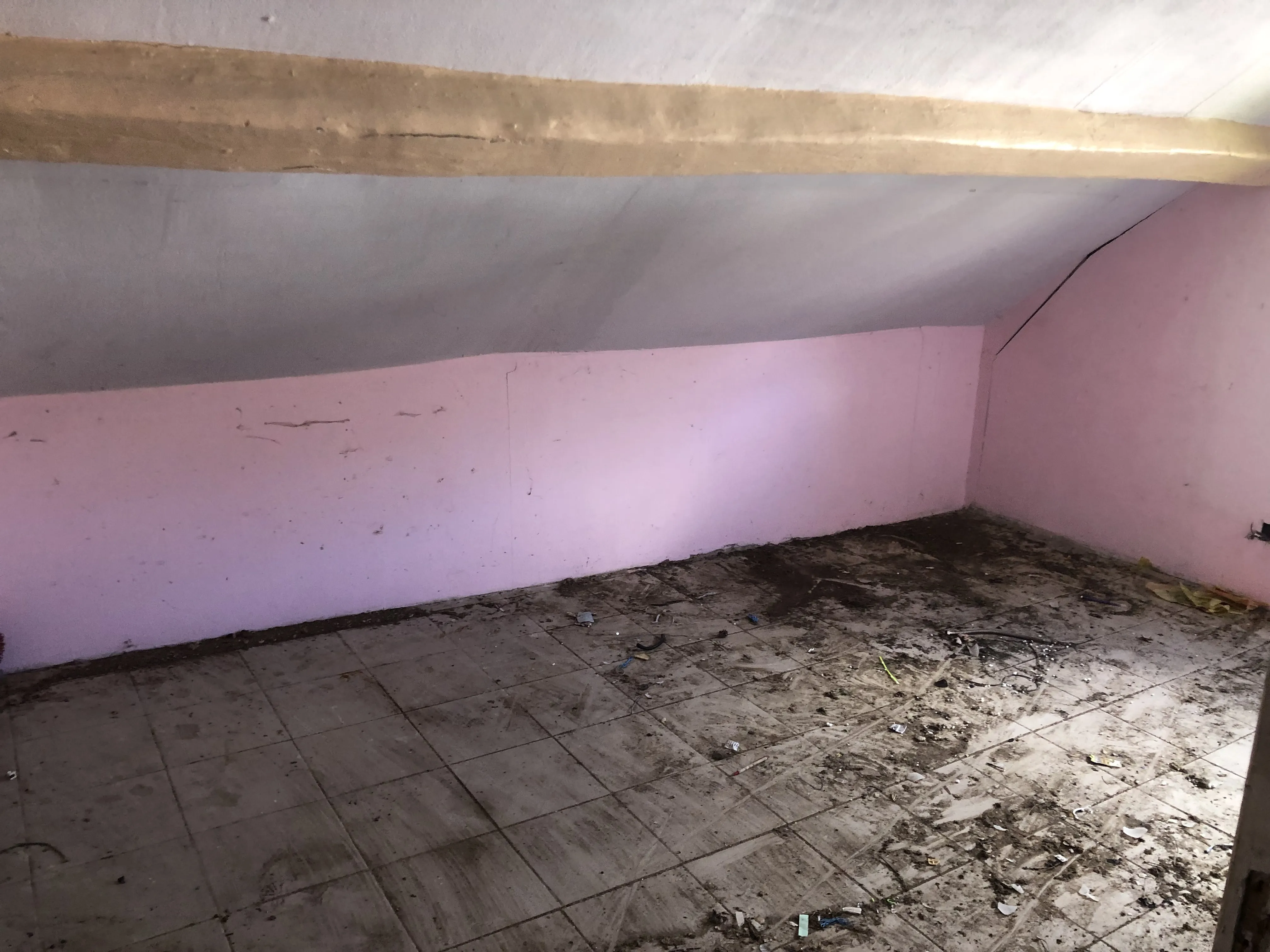 Chantier Débarras